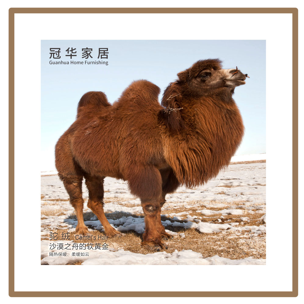 冠华家居,冠华床垫,冠华品牌床垫,冠华品牌